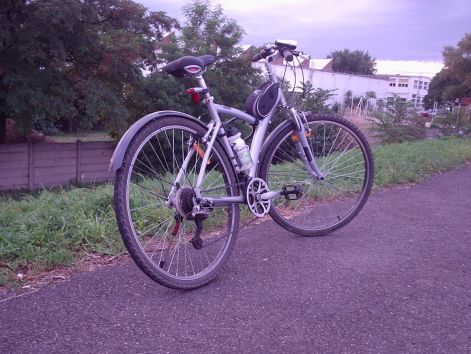 p8230395.jpg p8230395.jpg