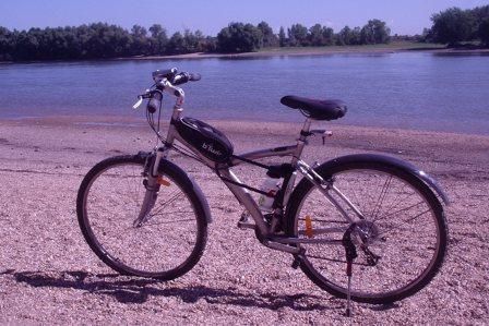 p8300438.jpg p8300438.jpg