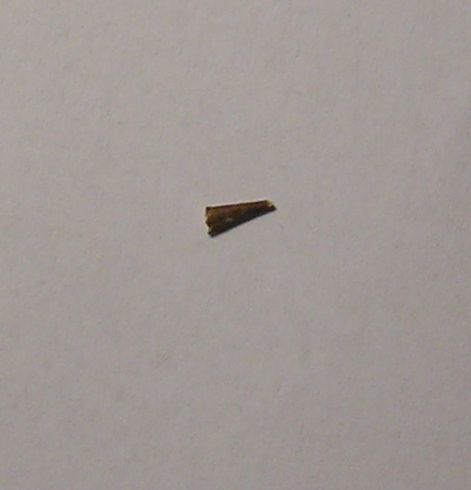 p9142886.jpg p9142886.jpg