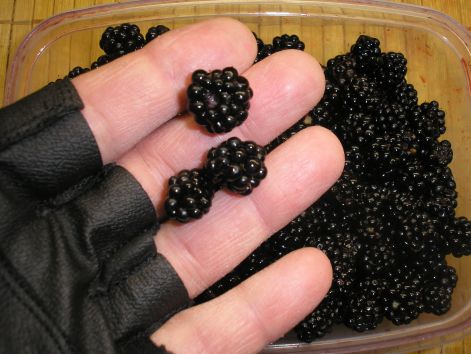 p9142888.jpg p9142888.jpg