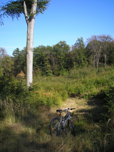 p9211697.jpg p9211697.jpg