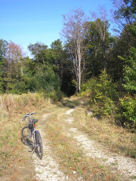 p9211699.jpg p9211699.jpg