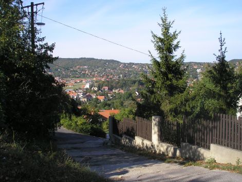 p9211705.jpg p9211705.jpg