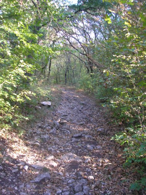 p9211715.jpg p9211715.jpg