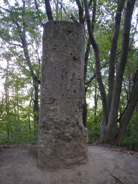 p9211720.jpg p9211720.jpg