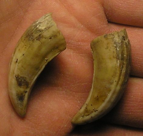 p92829921.jpg p92829921.jpg