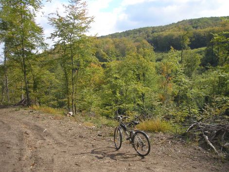 pa012998.jpg pa012998.jpg