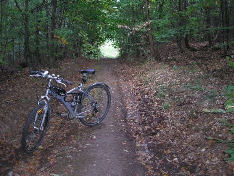 pa013001.jpg pa013001.jpg