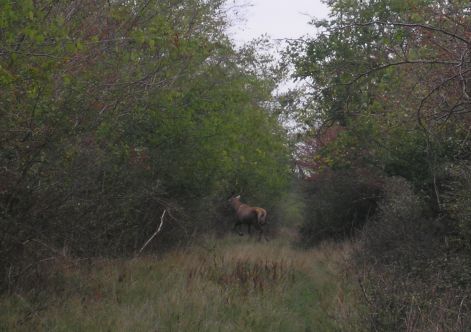 pa071772.jpg pa071772.jpg