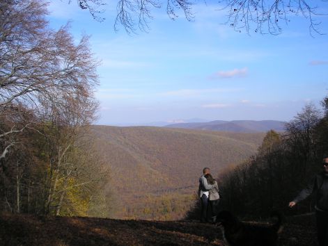 pa233117.jpg pa233117.jpg