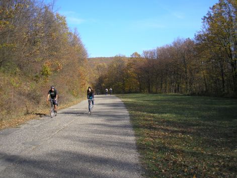 pa233121.jpg pa233121.jpg