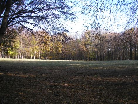 pa233125.jpg pa233125.jpg