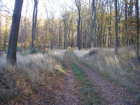 pa233128.jpg pa233128.jpg