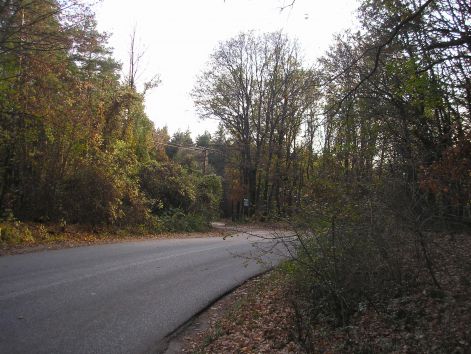 pa303194.jpg pa303194.jpg