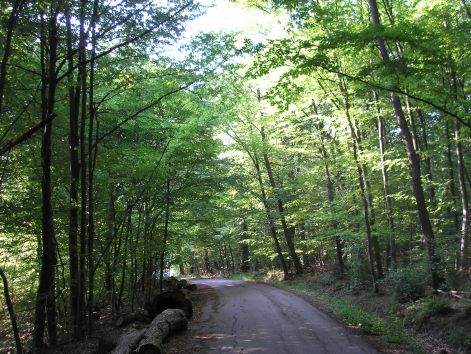 pap_retrol.jpg pap_retrol.jpg