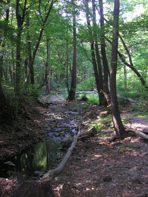 patak_mellett.jpg patak_mellett.jpg