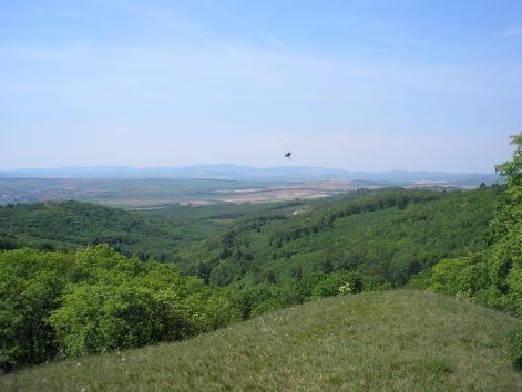 perbal_fele.jpg perbal_fele.jpg