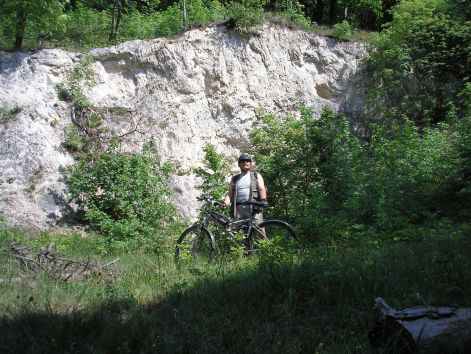 piheno.jpg piheno.jpg