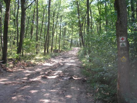 piroskeresztes_ut.jpg piroskeresztes_ut.jpg