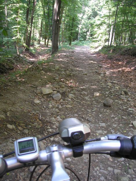 rogos_ut.jpg rogos_ut.jpg