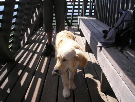 ropi_aki_ot_honapos_es_meg_teriszonya_van.jpg ropi_aki_ot_honapos_es_meg_teriszonya_van.jpg