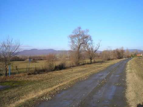 szentendre_fele_a_gaton..._itt_meg_istenes..jpg szentendre_fele_a_gaton..._itt_meg_istenes..jpg