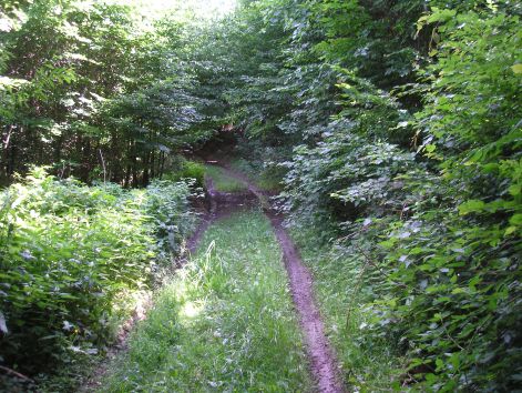 terepes_ez.jpg terepes_ez.jpg