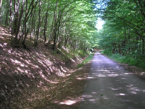 valahol_pilisszentlaszlo_kozeleben.jpg valahol_pilisszentlaszlo_kozeleben.jpg