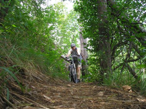 volt_ahol_tolni_kellett.jpg volt_ahol_tolni_kellett.jpg