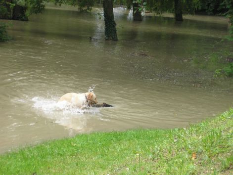 vv-2p6052030.jpg vv-2p6052030.jpg