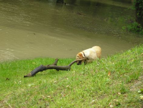 vv-3p6052031.jpg vv-3p6052031.jpg