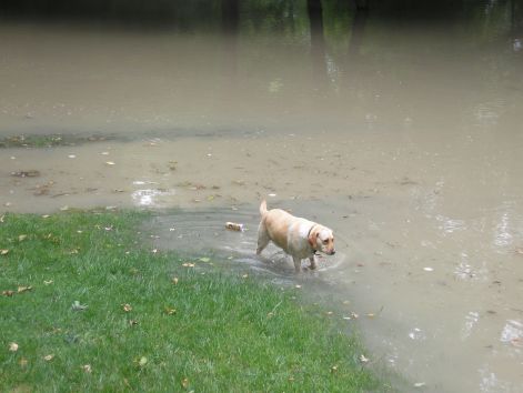 vv_1_p6052028.jpg vv_1_p6052028.jpg